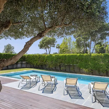 Alfa * Поланко