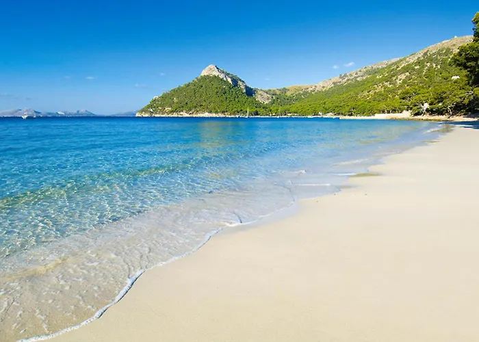 Alfa Port de Pollença